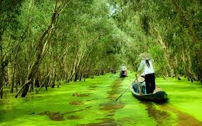 Long An - Tiền Giang - Đồng Tháp - An Giang - Kiên Giang - Cần Thơ